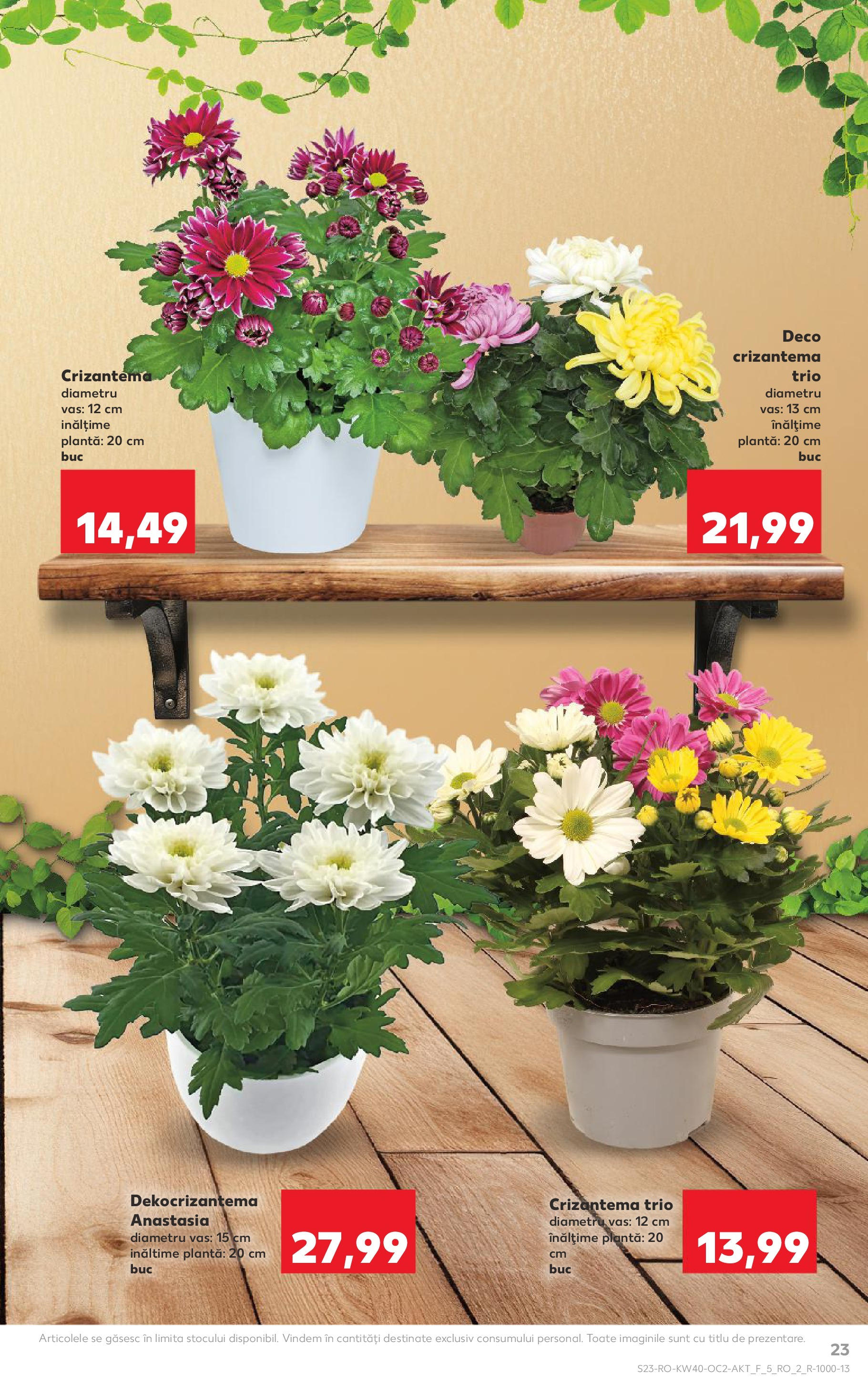 Catalog Kaufland - Tulcea 01.10.2025 - Revista si Oferta | Pagină: 23