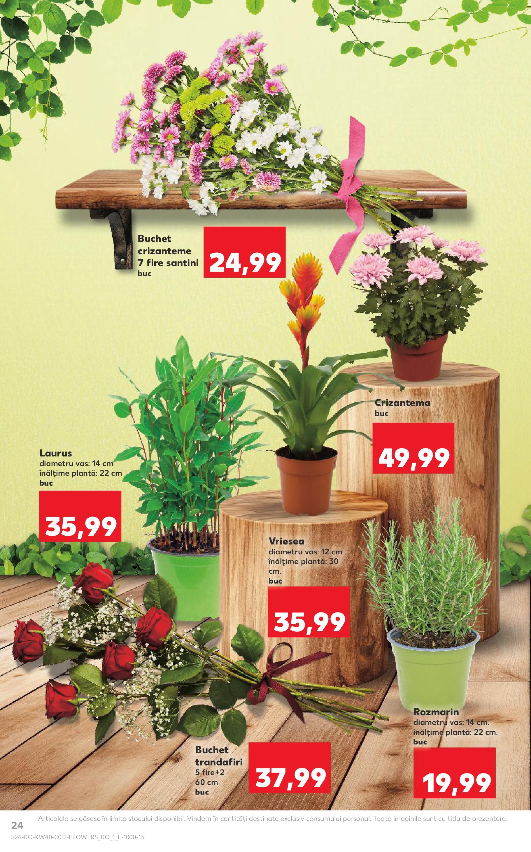 Catalog Kaufland - Tulcea 01.10.2025 - Revista si Oferta | Pagină: 24