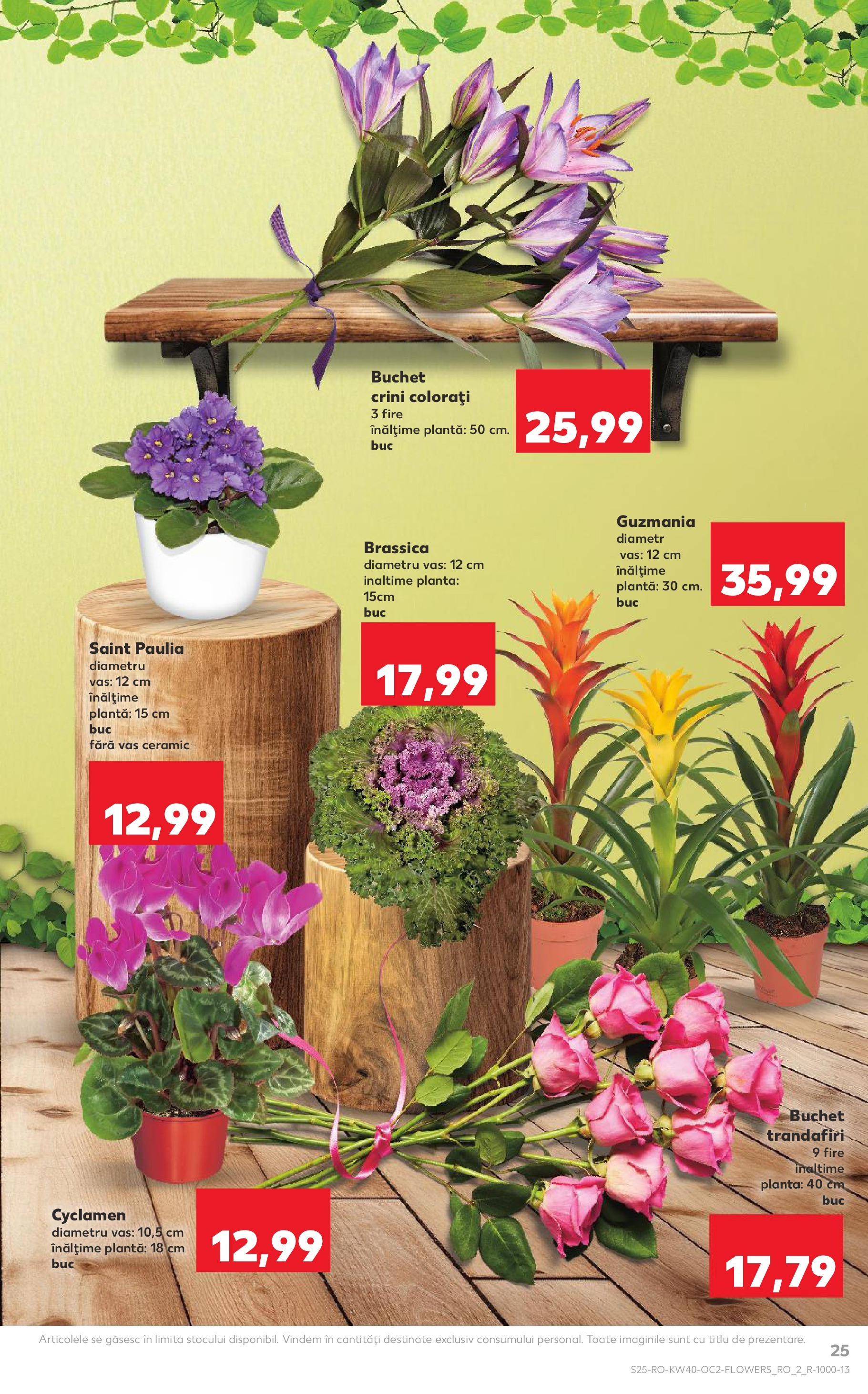 Catalog Kaufland - Tulcea 01.10.2025 - Revista si Oferta | Pagină: 25