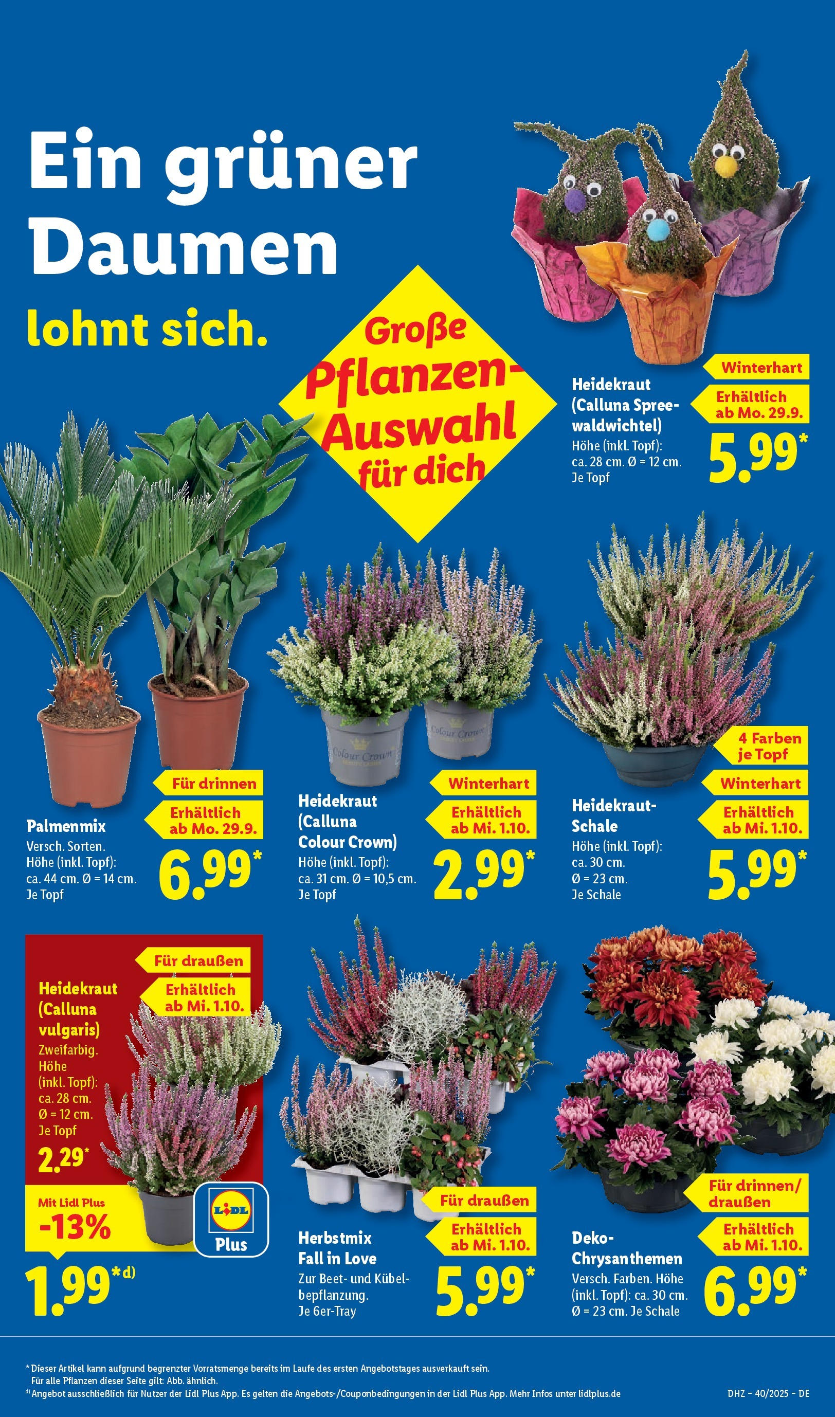 Lidl: Wochenangebote von 28. September bis 4. Oktober 2025 - Prospekt seite 11