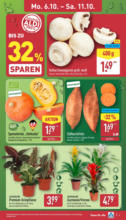 ALDI Nord ALDI Nord: Wochenangebote - ab 06.10.2025