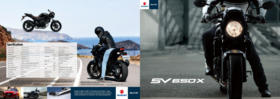 Suzuki SV650X Katalog
