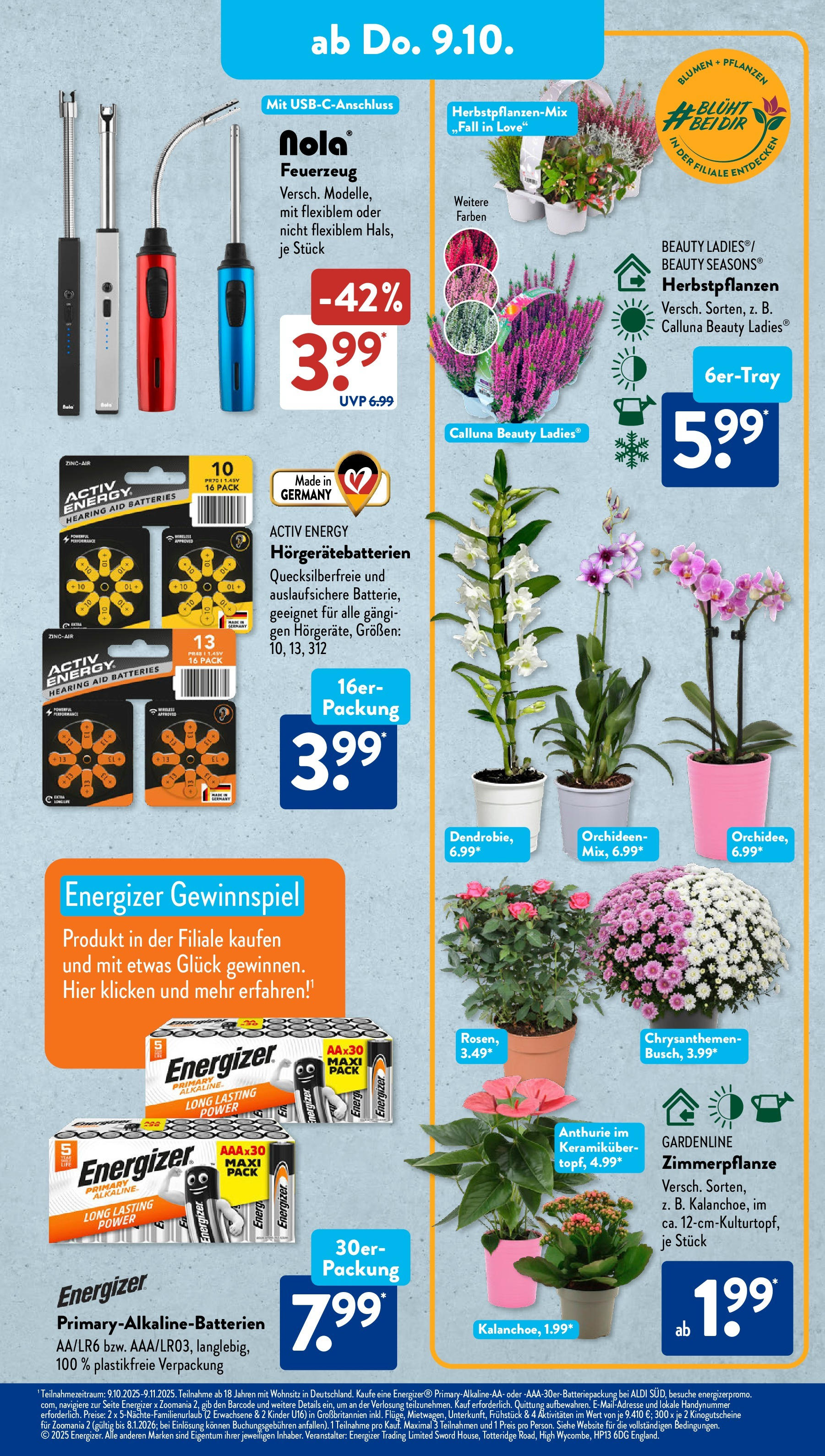 Aldi Süd - Aldi Süd: Wochenangebote (ab 06.10.2025) zum Blättern | Seite: 21 | Produkte: Energy, Öl, Blumen