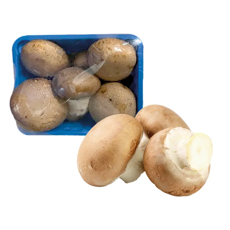 Champignons braun, Schale