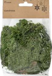 BRAUNS-HEITMANN Islandmoos