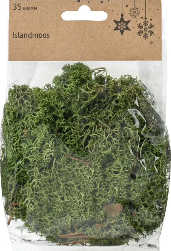 BRAUNS-HEITMANN Islandmoos
