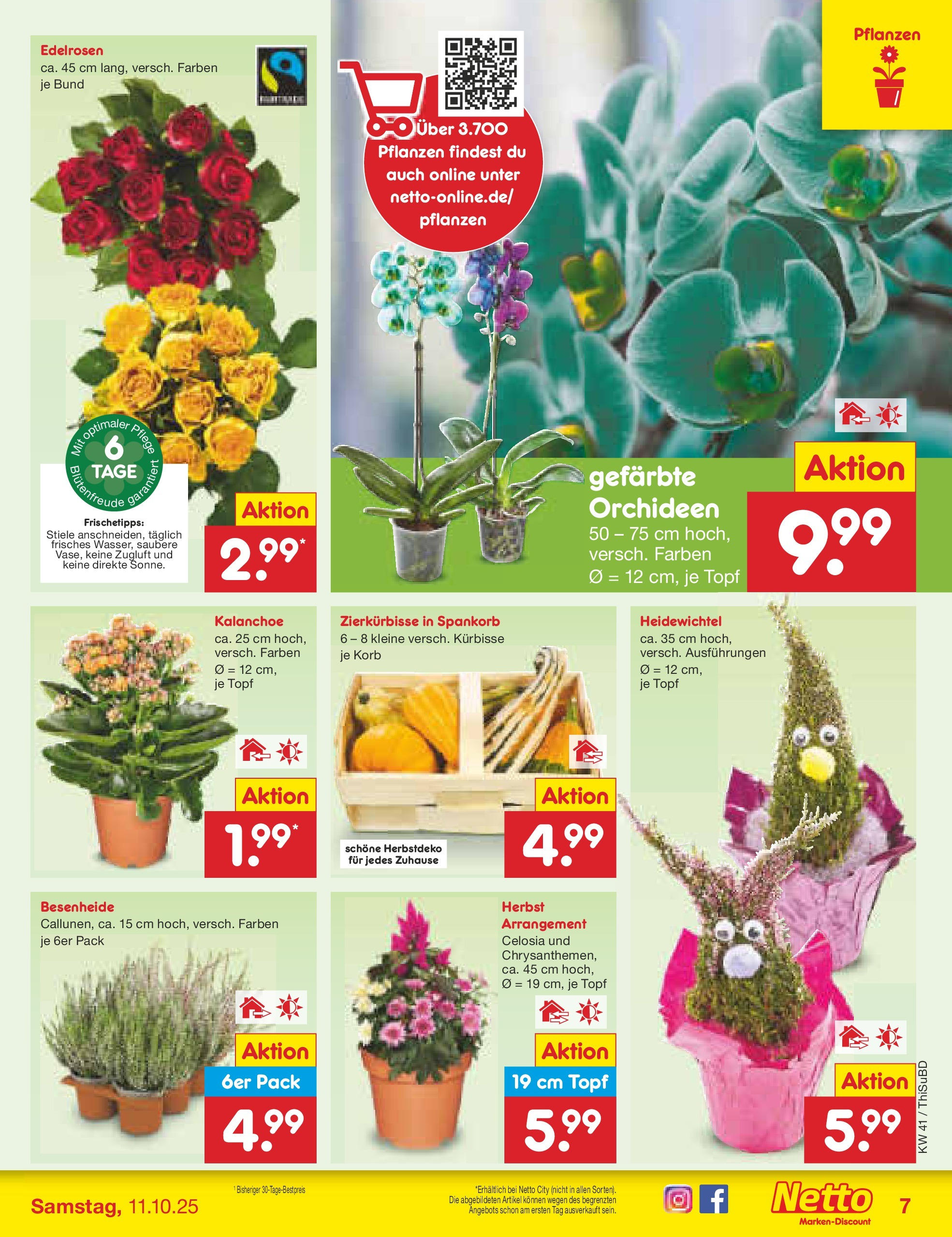 Netto Marken-Discount prospekt Thiendorf	 (ab 05.10.2025) » Angebote | Seite: 7 | Produkte: Korb