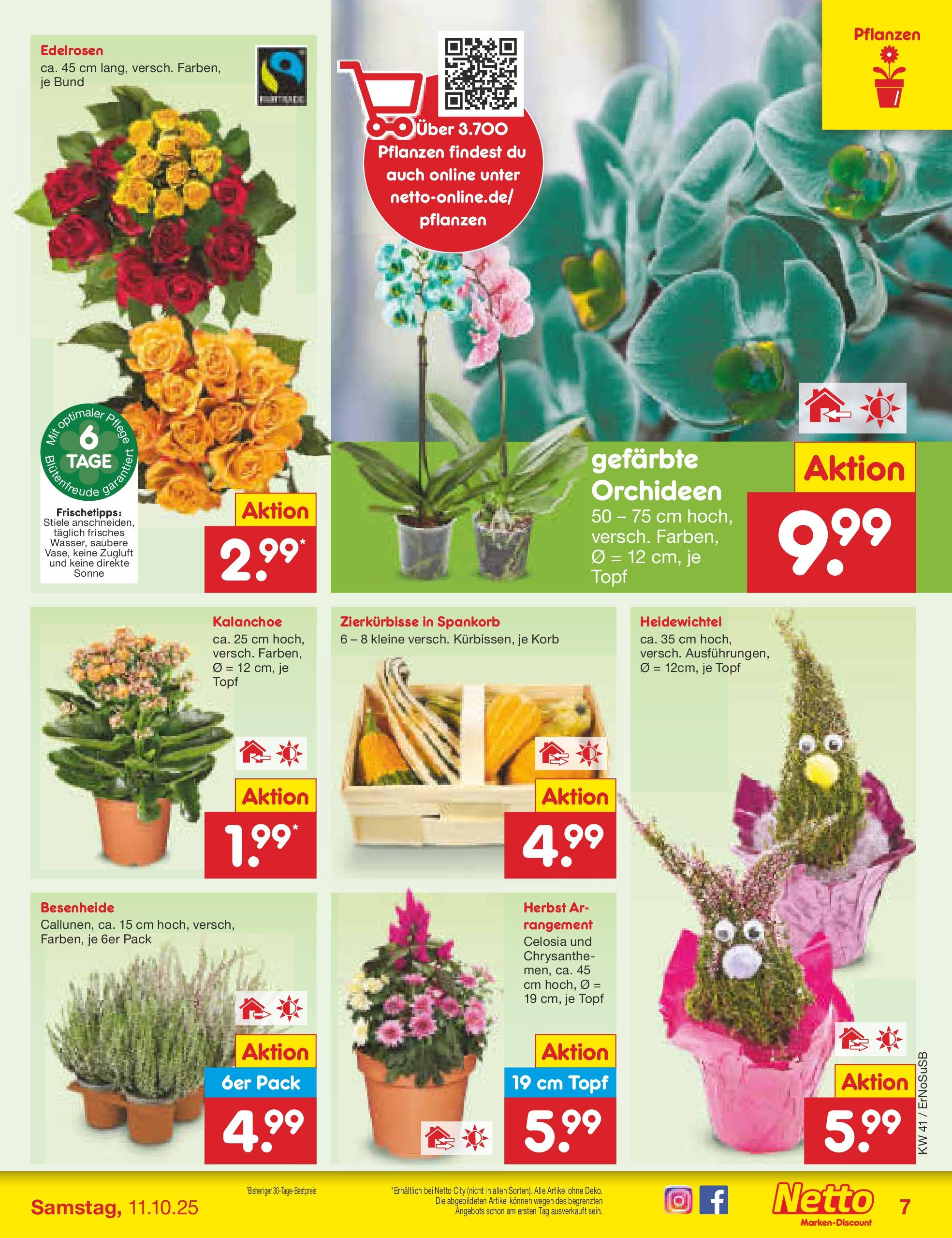 Netto Marken-Discount prospekt Nordhausen	 (ab 05.10.2025) » Angebote | Seite: 7 | Produkte: Korb