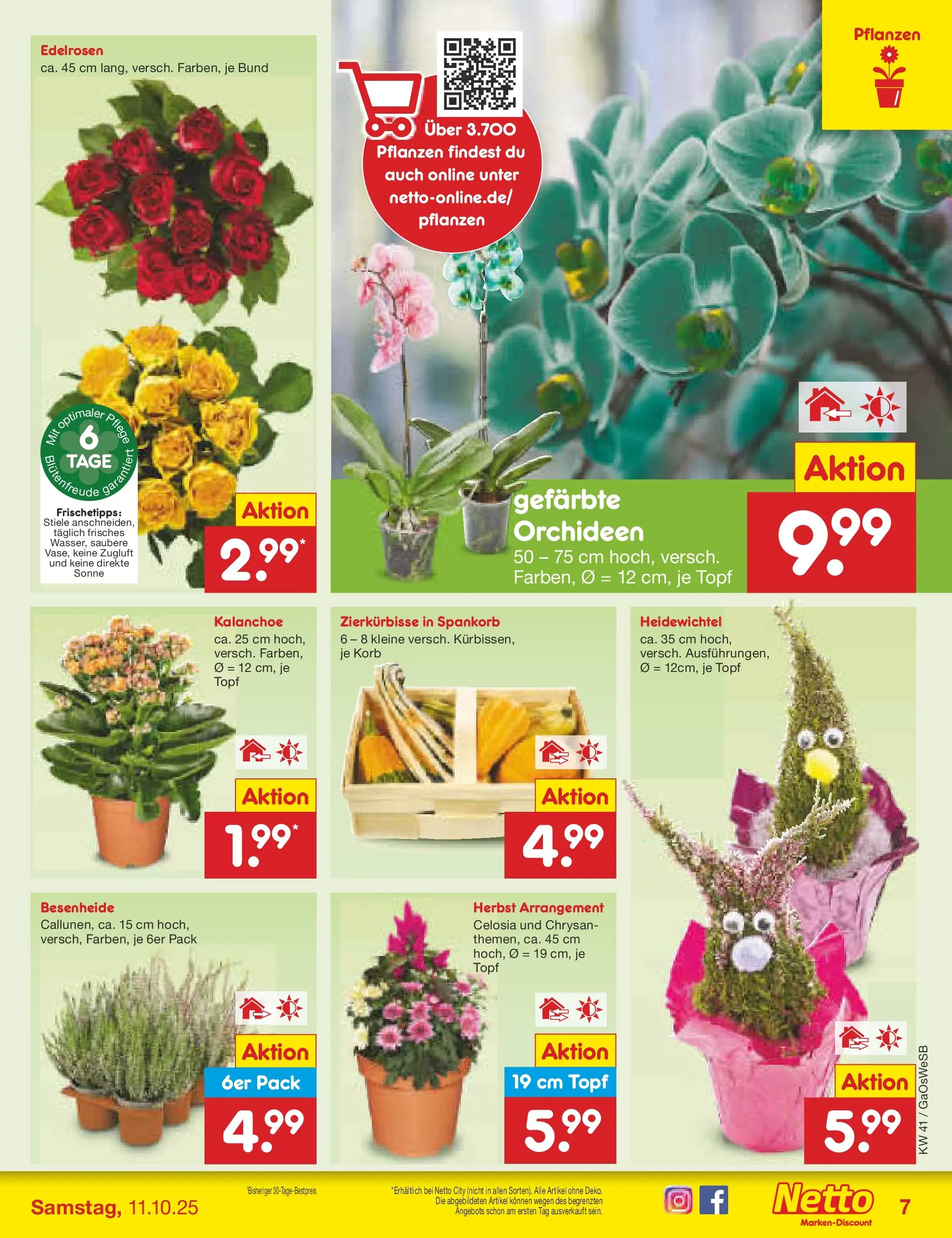 Netto Marken-Discount prospekt Bremen-Lesum	 (ab 06.10.2025) » Angebote | Seite: 7 | Produkte: Korb