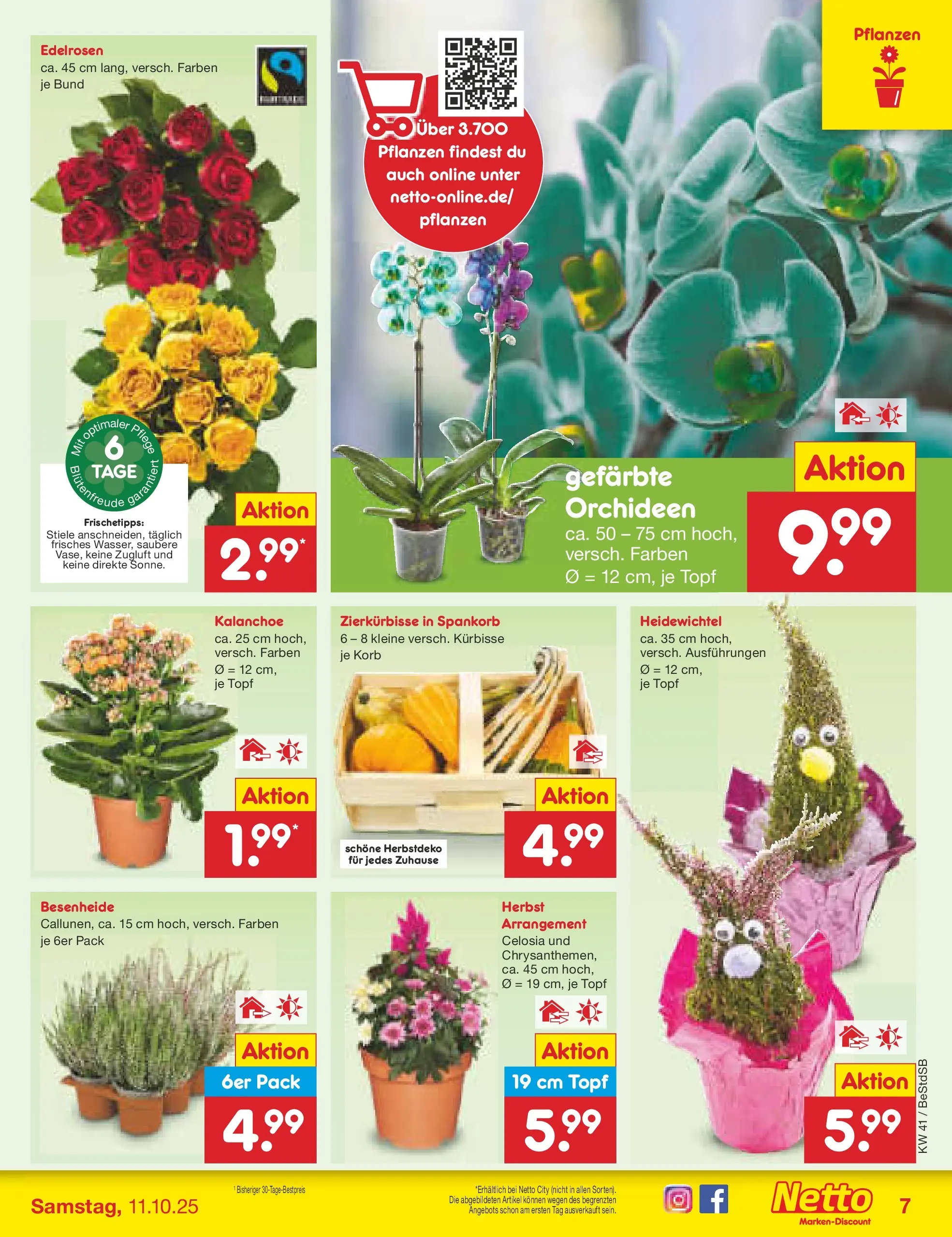 Netto Marken-Discount prospekt Berlin-Spandau (ab 06.10.2025) » Angebote | Seite: 7 | Produkte: Korb Netto Marken-Discount prospekt Berlin-Spandau (ab 06.10.2025) » Angebote | Seite: 7 | Produkte: Korb