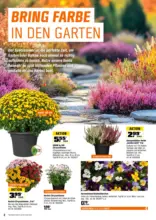 OBI: Herbstgartenmagazin
