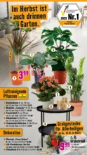 Hornbach Hornbach: Es gibt immer was zu tun. - bis 28.10.2025