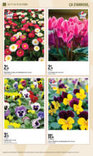 EVEN JARDIN OCTOBRE