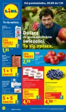 OFERTA WAŻNA OD 29.09 DO 1.10 Lidl – do 01.10.2025