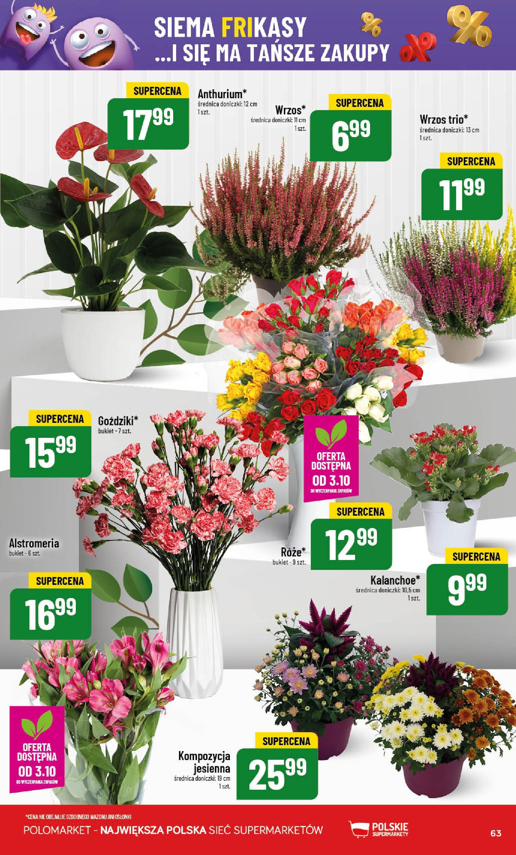 POLOmarket gazetka od jutra (01.10.2025) - Nowa PDF | Strona: 63 | Produkty: Wrzos, Doniczki