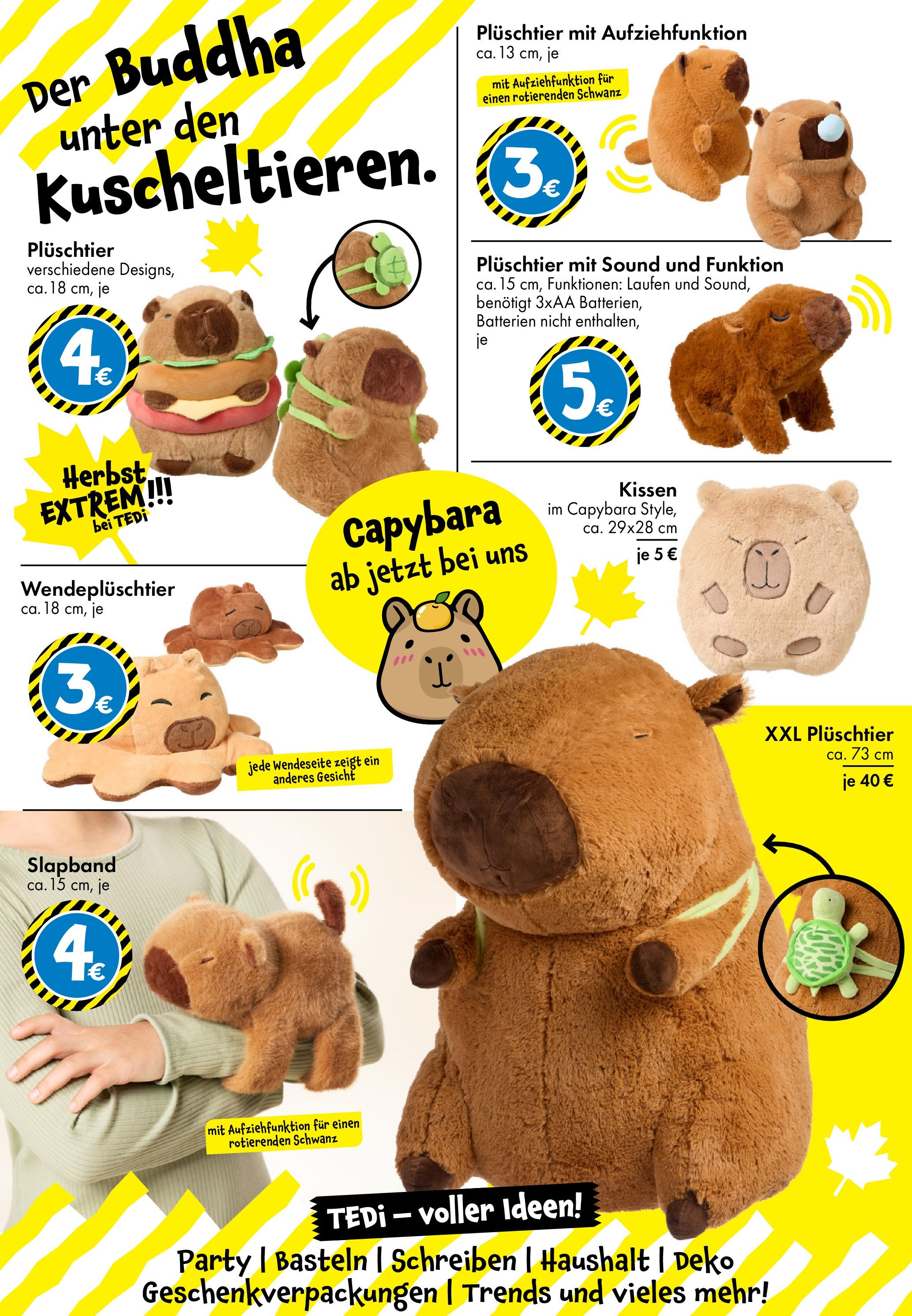 TEDi Flugblatt von 03.10.2025 - Aktuelle Angebote | Seite: 4 | Produkte: Kissen