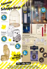 TEDi: entdecke die neuen TEDi Trends