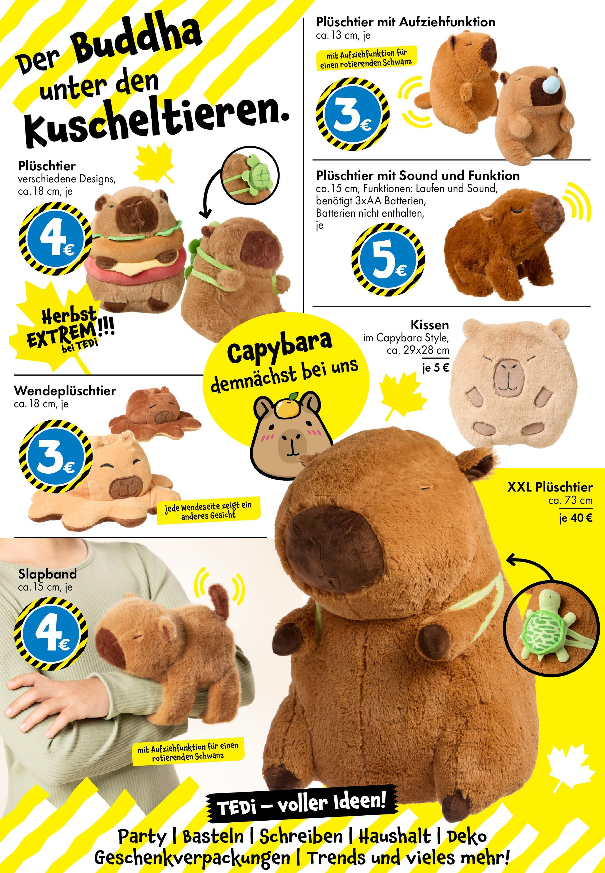 TEDi - TEDi: entdecke die neuen TEDi Trends (ab 02.10.2025) zum Blättern | Seite: 4 | Produkte: Kissen, Batterien