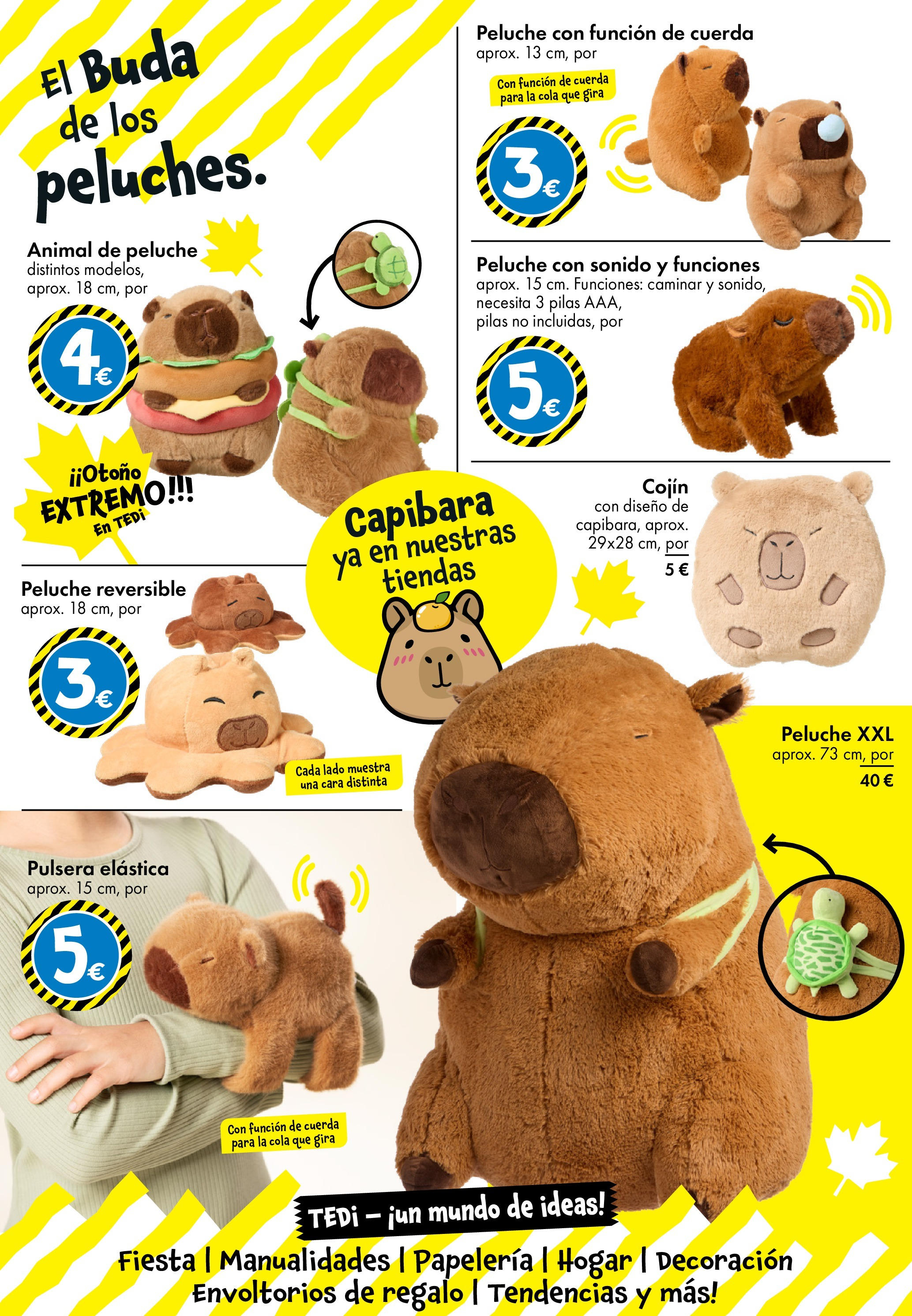 TEDi - folleto 02/10/2025 - 11/10/2025 | Página: 5 | Productos: Cojín
