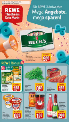 Rewe prospekt Seesen	 ab 29.09.2025 gültig