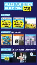 HOFER: Flugblatt