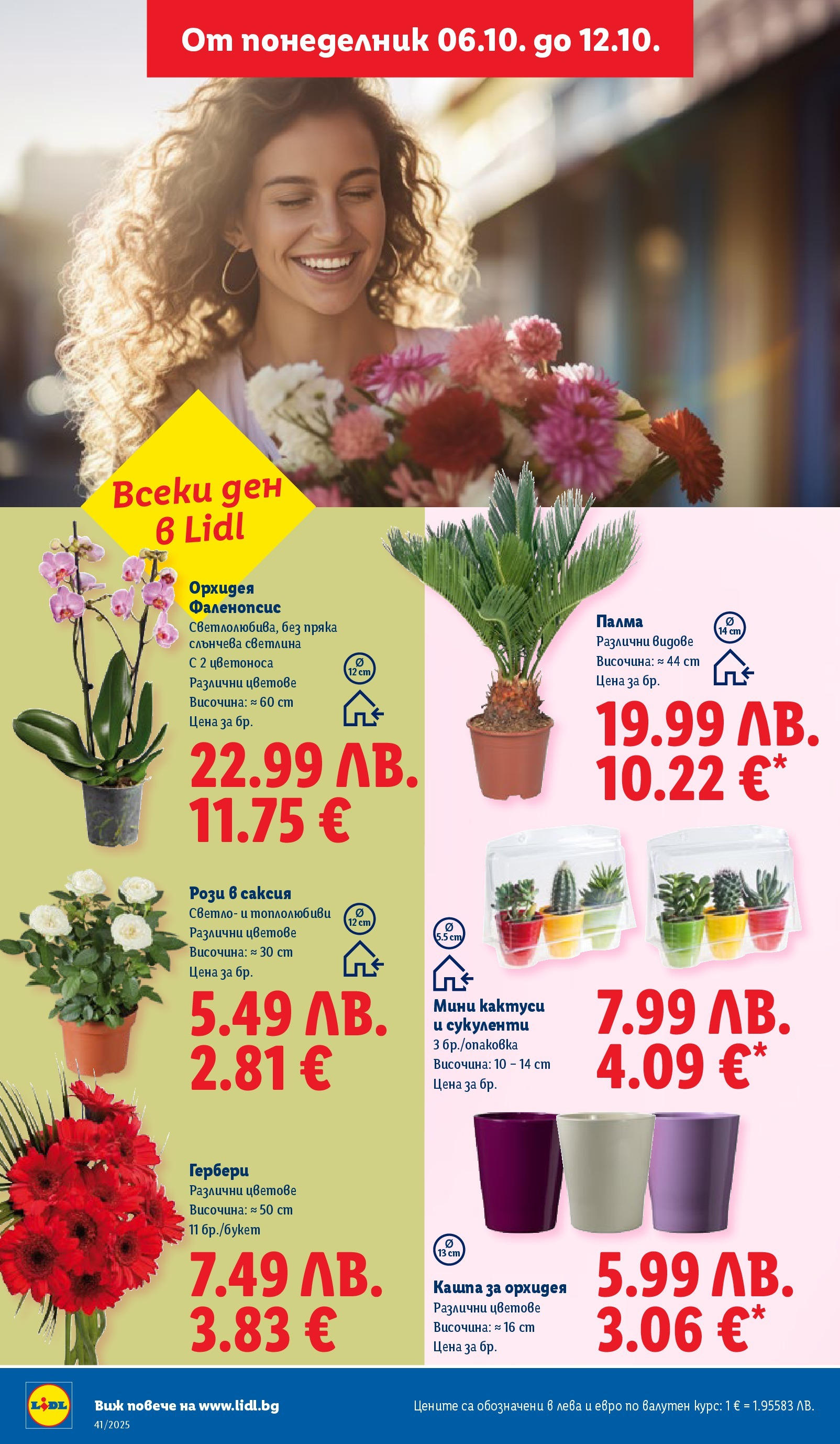Cедмична брошура на Лидл от 06.10.2025 | Страница: 46 | Продукти: Кашпа, Орхидея, Саксия, Палма