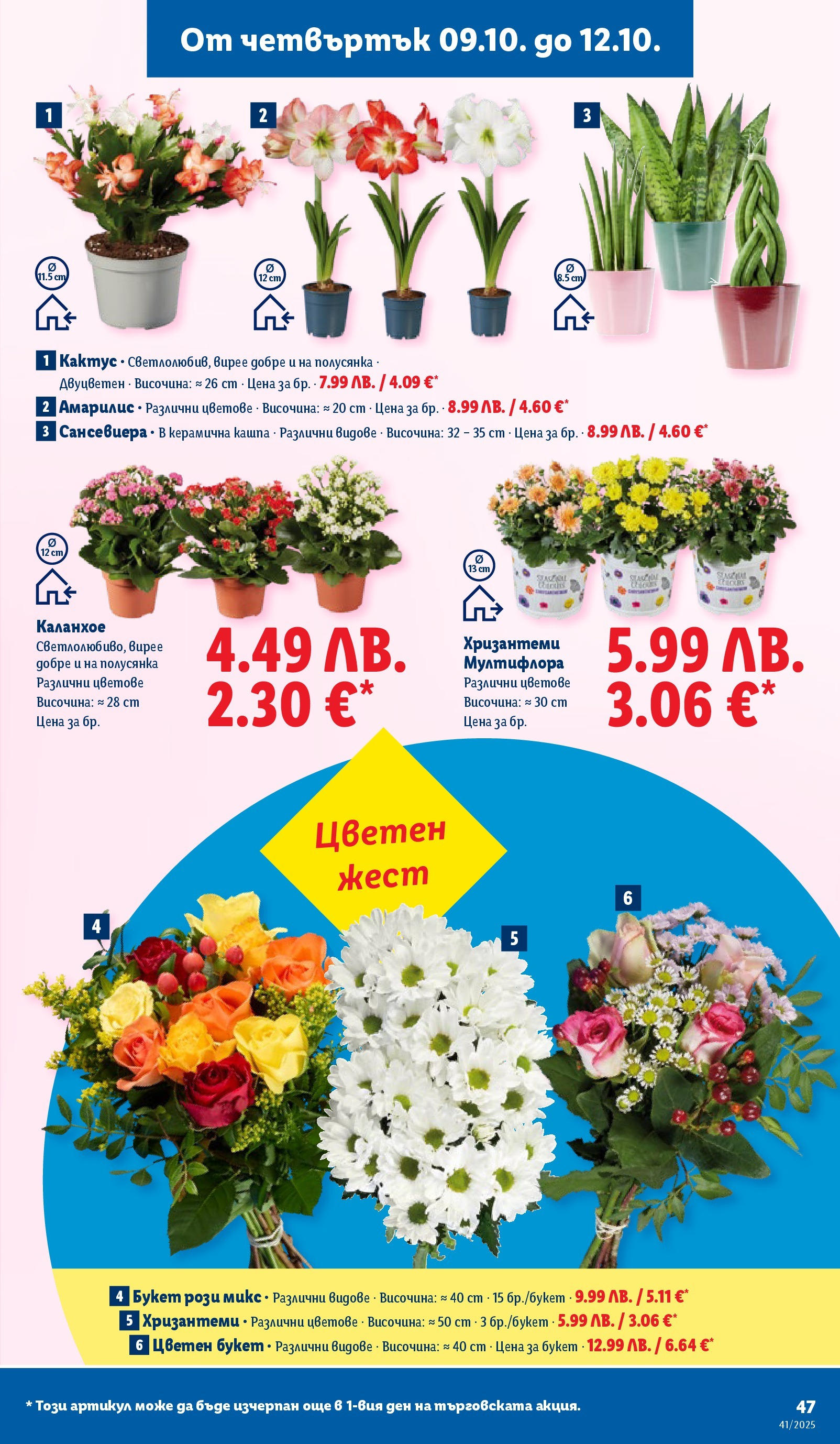 Cедмична брошура на Лидл от 06.10.2025 | Страница: 47 | Продукти: Кашпа