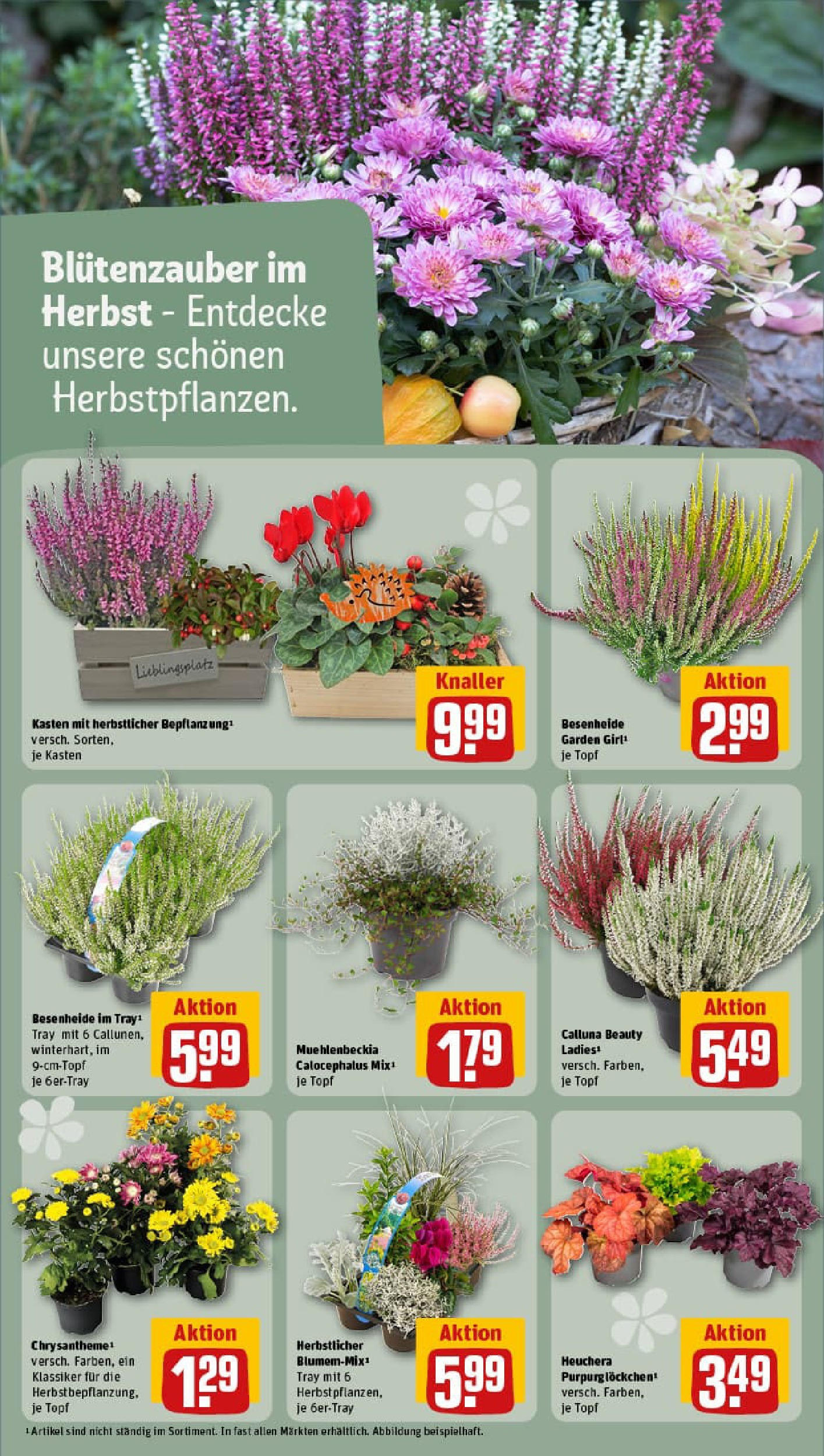 REWE Prospekt ab 06.10.2025 zum Blättern » Angebote | Seite: 16