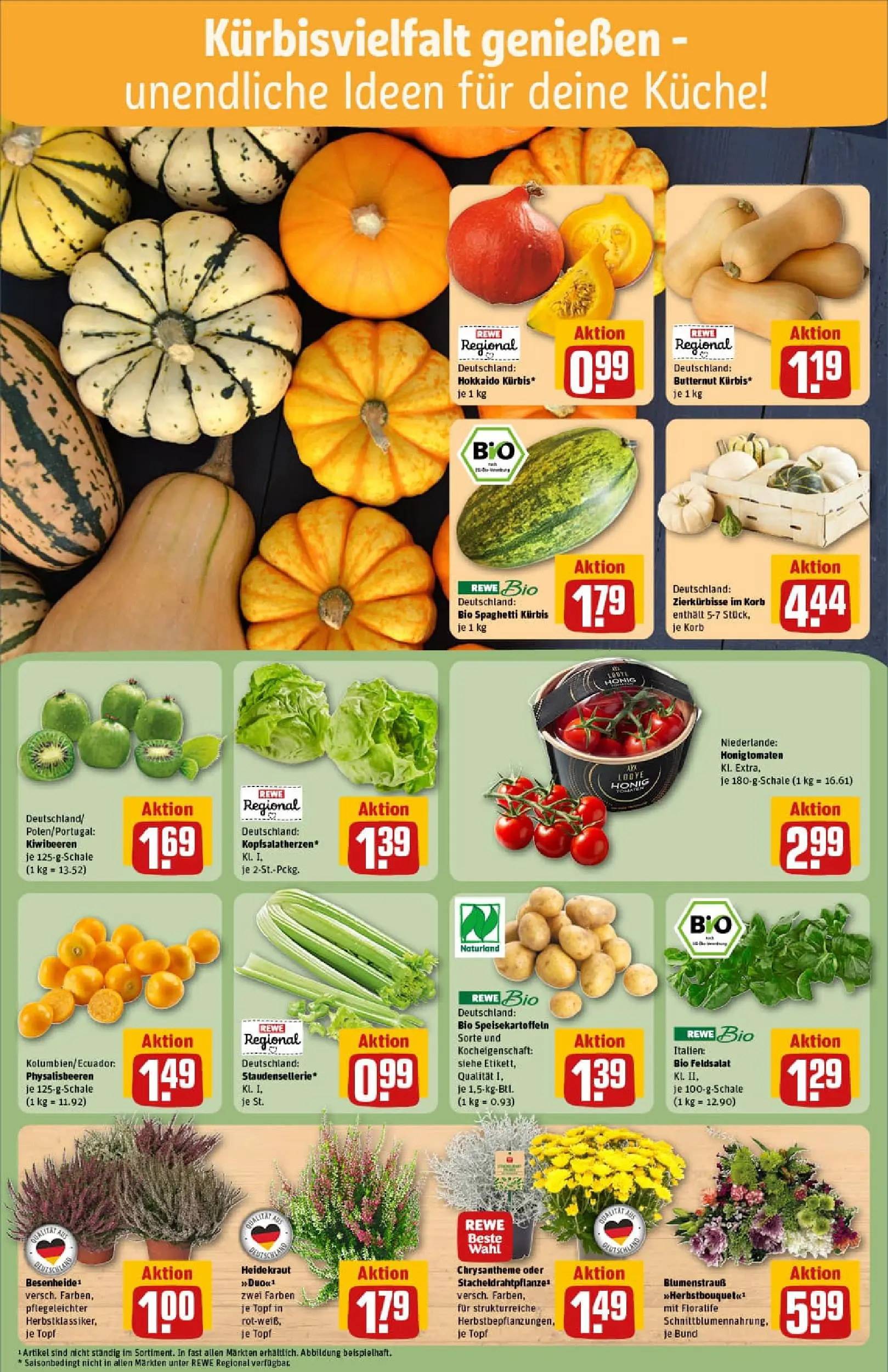 REWE Prospekt ab 06.10.2025 zum Blättern » Angebote | Seite: 7 | Produkte: Korb, Küche, Kürbis, Kiwi