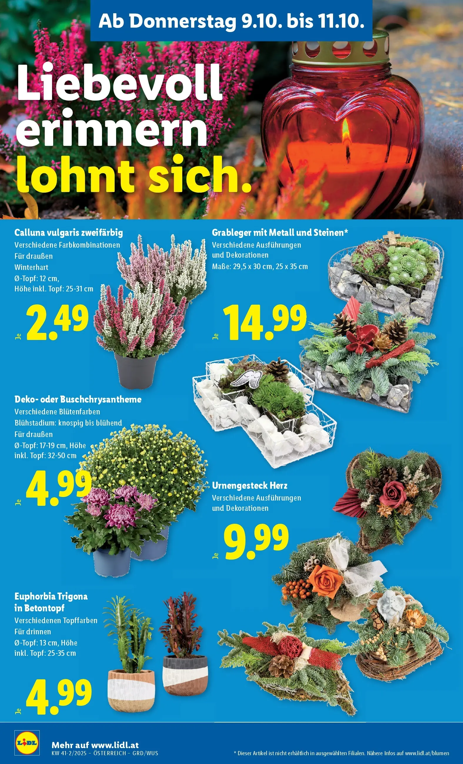 Lidl - Wien, Langenzersdorf, Zwettl ab 09.10.2025 - Angebote ab donnerstag | Seite: 28