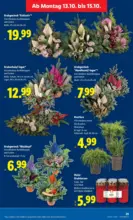Lidl Lidl: Flugblatt in deiner Nähe - ab 09.10.2025