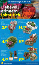 Lidl Lidl: Flugblatt in deiner Nähe - ab 09.10.2025