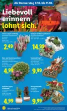 Lidl Lidl: Flugblatt in deiner Nähe - ab 09.10.2025