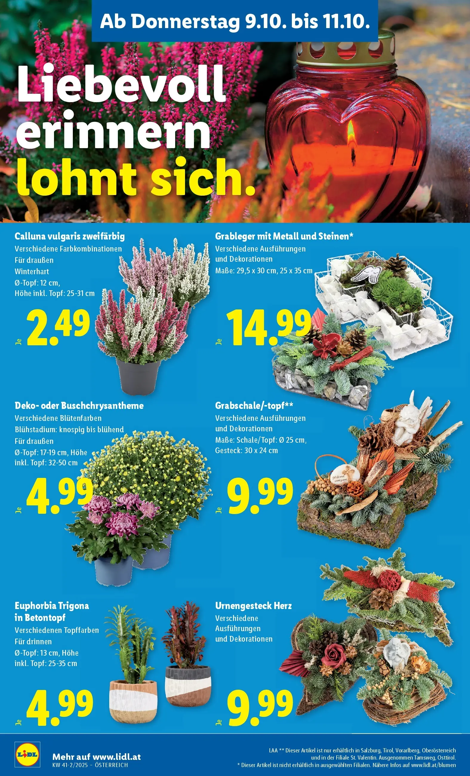 Lidl - Jenbach, Eferding, Dornbirn ab 09.10.2025 - Angebote ab donnerstag | Seite: 28