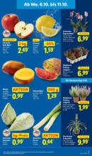 Lidl Lidl: Wochenangebote - ab 06.10.2025