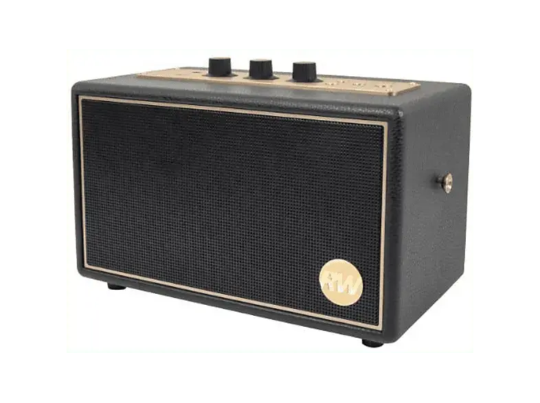Peaq PPA 550-RW Bluetooth Lautsprecher im Retro Design, Schwarz mit goldenen Elementen