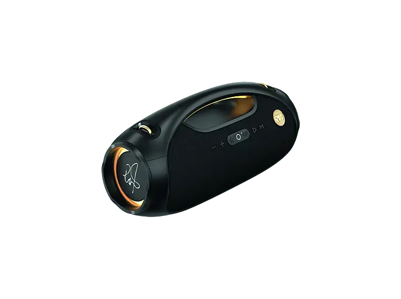 Peaq PPA 600-RW Bluetooth Lautsprecher, Wasserfest, Schwarz