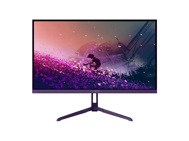 AROZZI LED 23,8 Zoll Gaming Monitor, Full-HD, 1 ms Reaktionszeit, 300 cd/m², 200 Hz, Purple