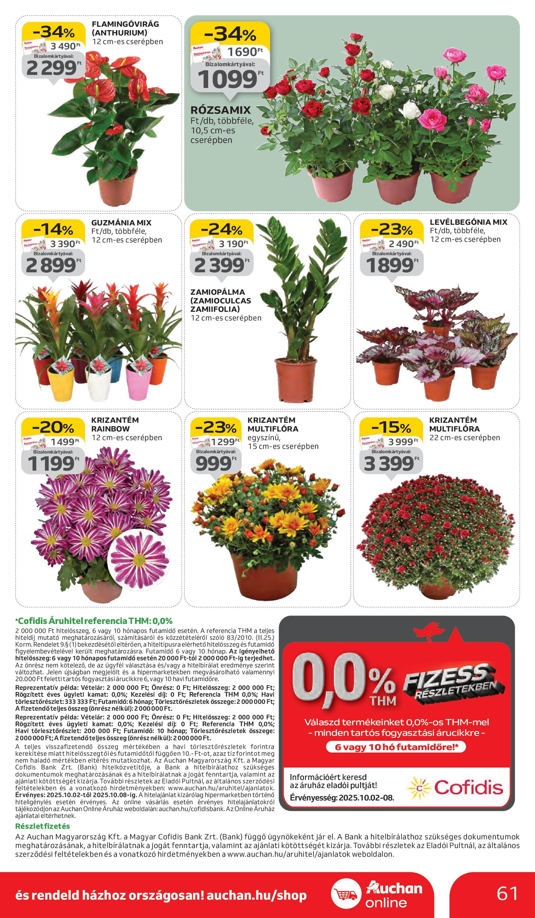 Auchan - Auchan újság érvényessége 10.08.-ig - 2025.10.03. -tól/töl > akció, lapozható szórólap 🛍️ | Oldal: 61 | Termékek: Szőlő
