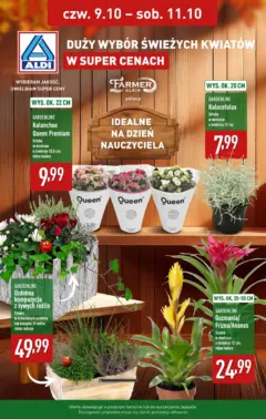 Pogląd oferty "Aldi Gazetka - Kwiaty na Dzień Nauczyciela" - ważna od 09.10.2025