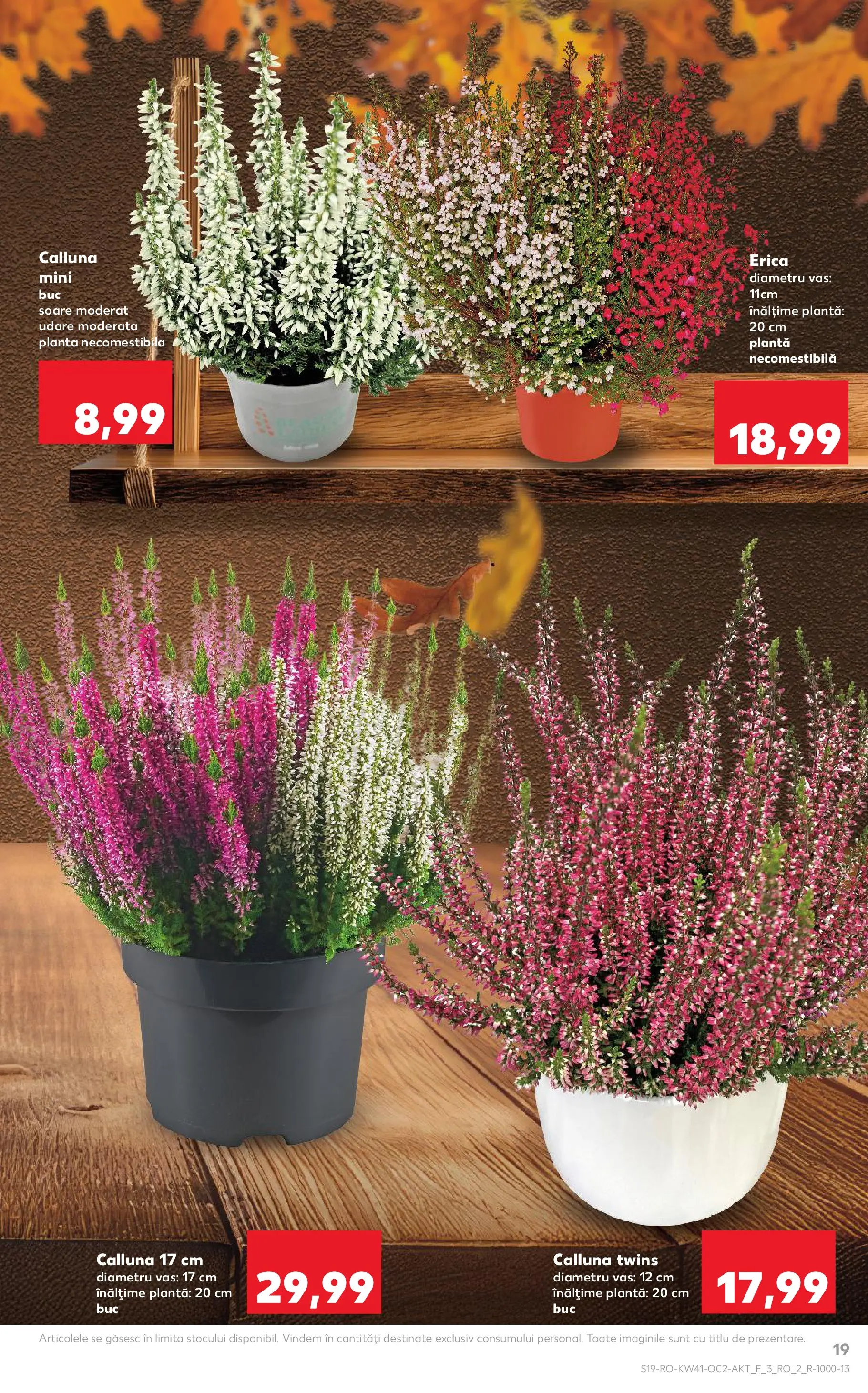 Catalog Kaufland - Bucureşti 08.10.2025 - Revista si Oferta | Pagină: 19
