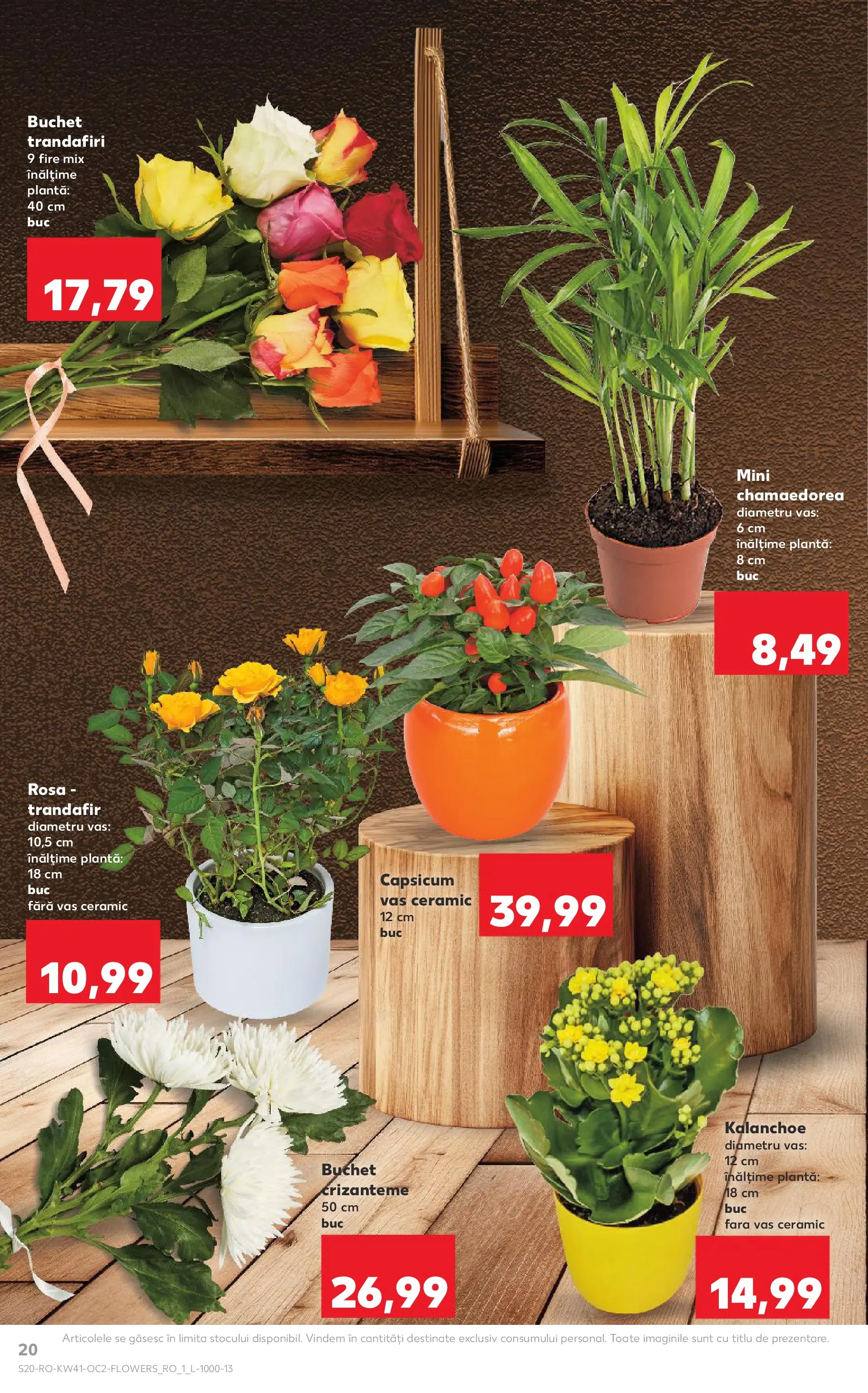 Catalog Kaufland - Bucureşti 08.10.2025 - Revista si Oferta | Pagină: 20 | Produse: Trandafir