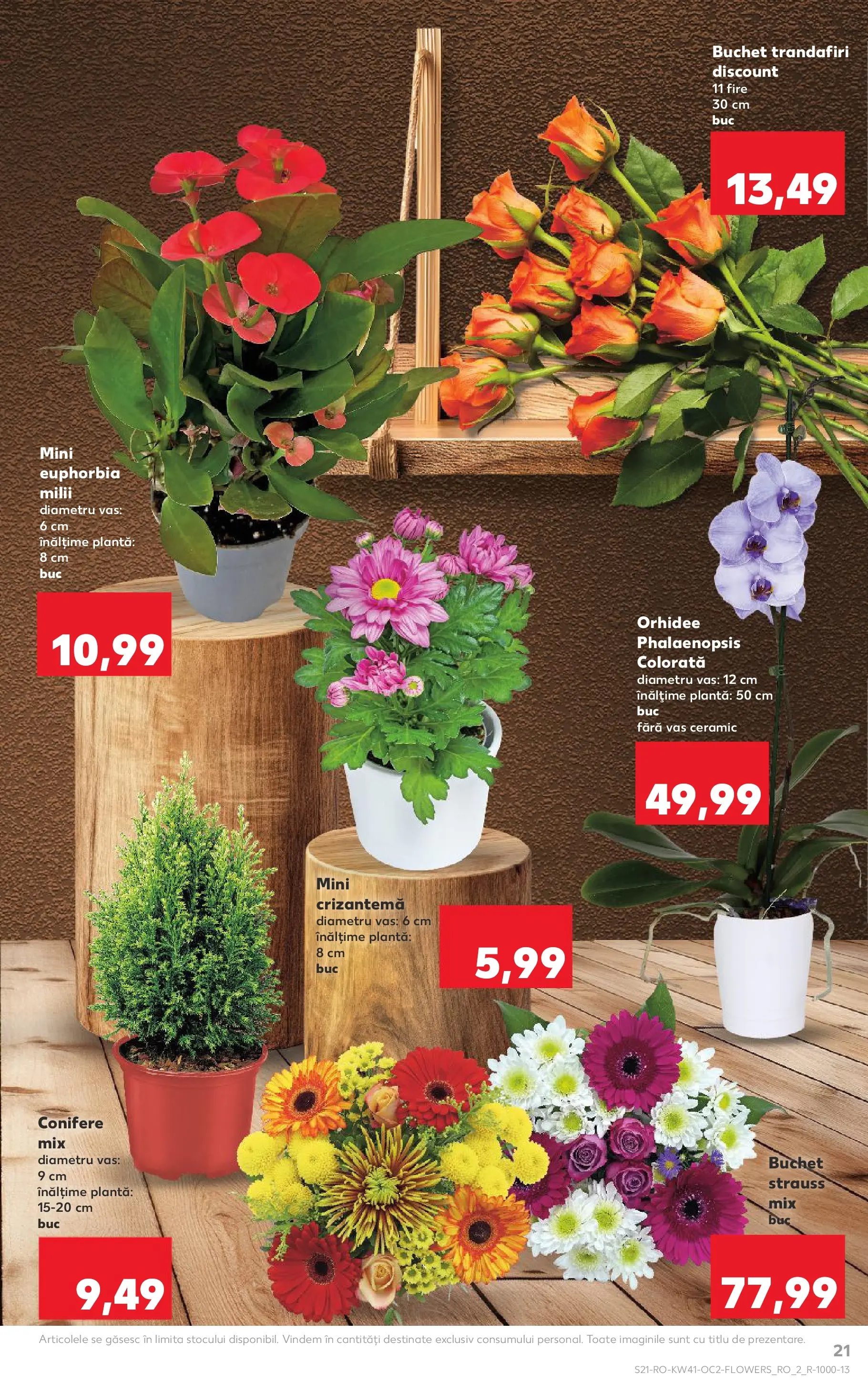 Catalog Kaufland - Bucureşti 08.10.2025 - Revista si Oferta | Pagină: 21 | Produse: Orhidee
