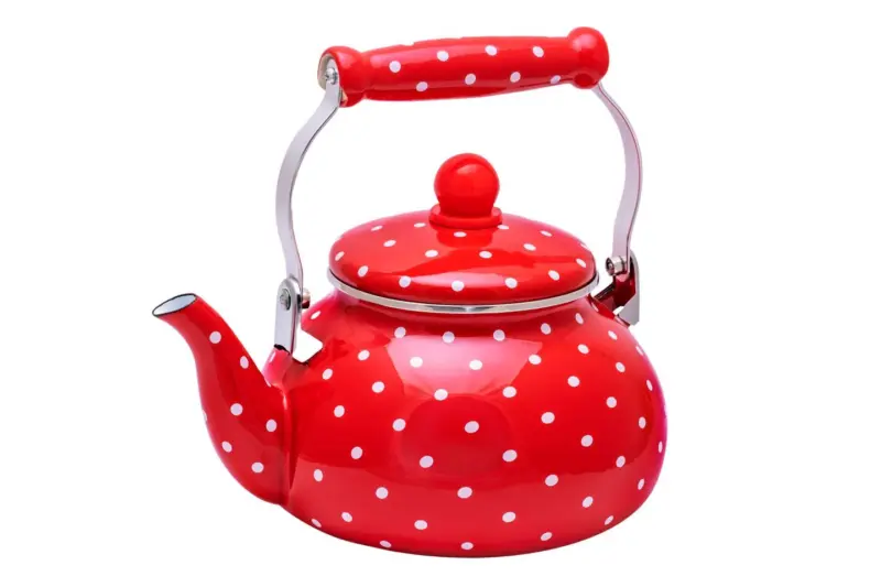 BRIO Чайник Emalika Ladybug 2,5 л
