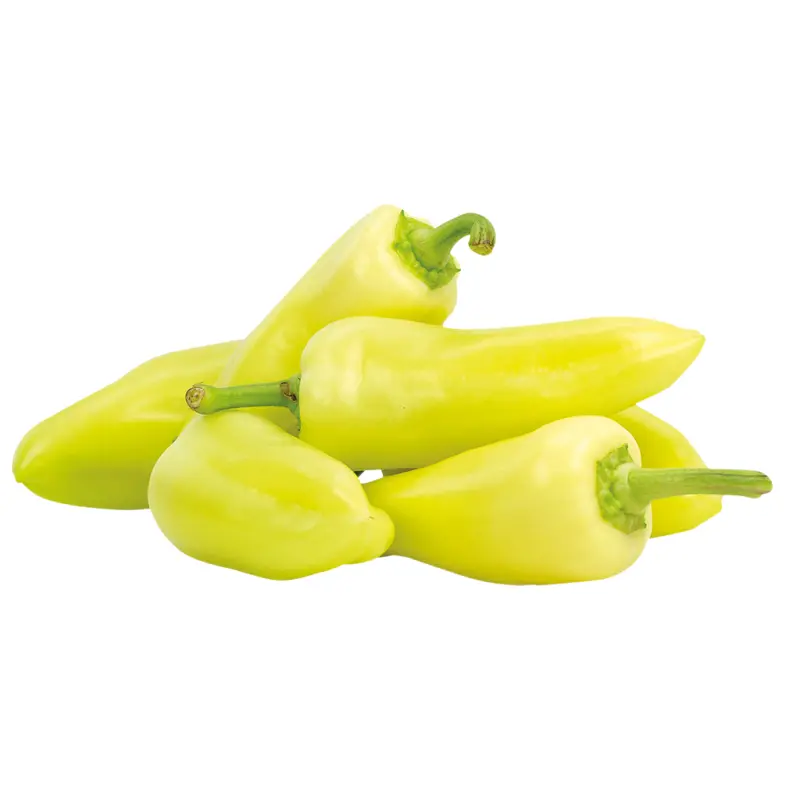 Paprika gelb Spitz