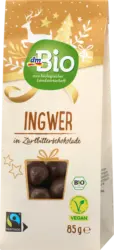 dmBio Ingwer in Zartbitterschokolade