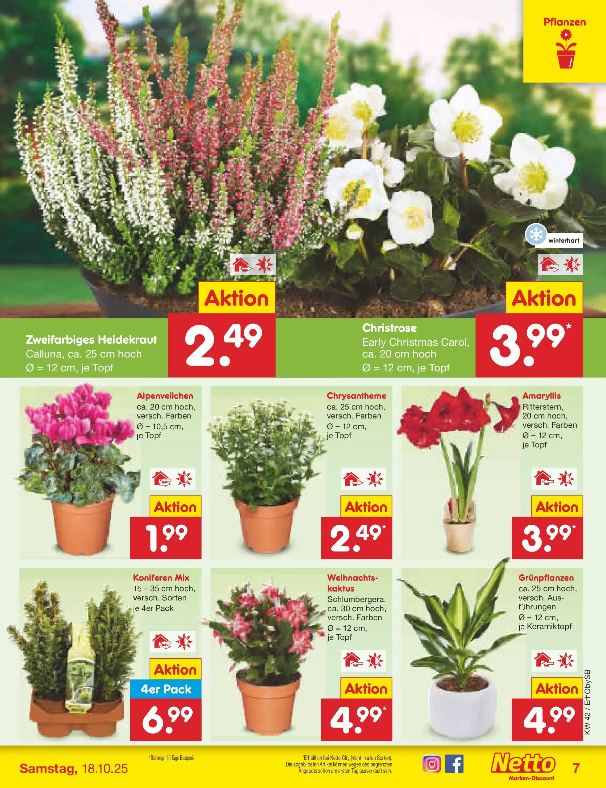 Netto Marken-Discount prospekt Mauern	 (ab 13.10.2025) » Angebote | Seite: 7