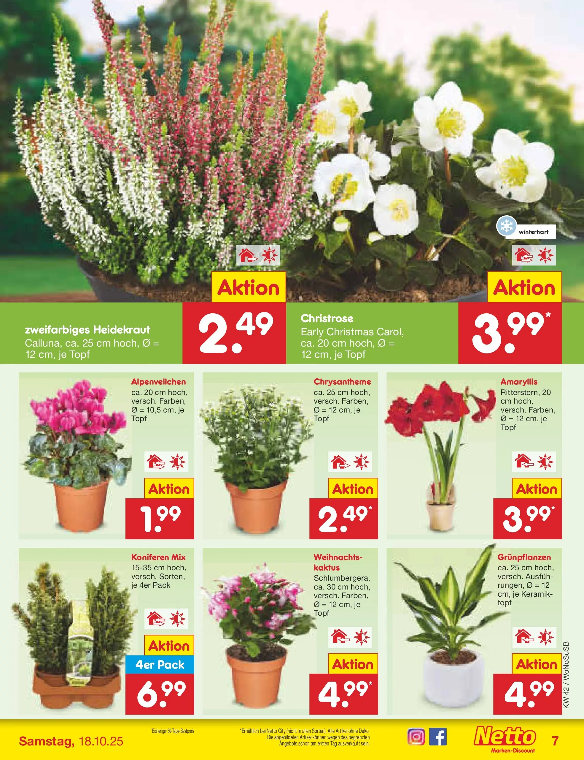 Netto Marken-Discount prospekt Rodgau	 (ab 13.10.2025) » Angebote | Seite: 7