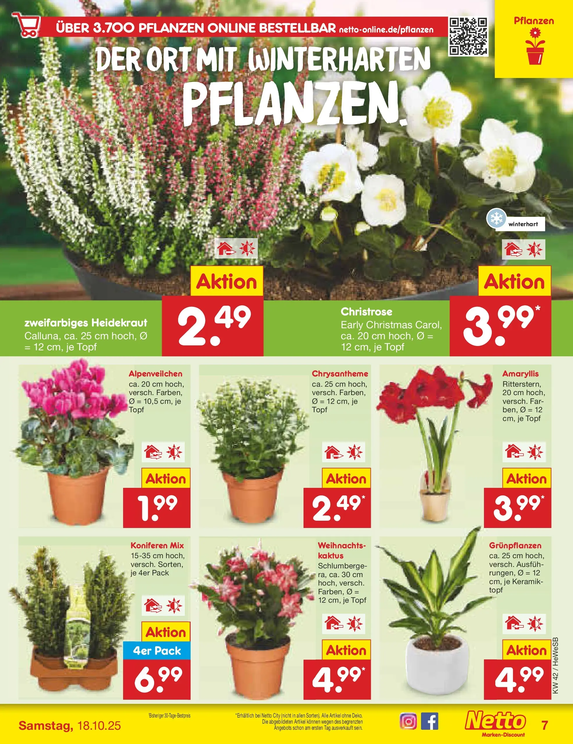 Netto Marken-Discount prospekt Brietlingen	 (ab 12.10.2025) » Angebote | Seite: 7