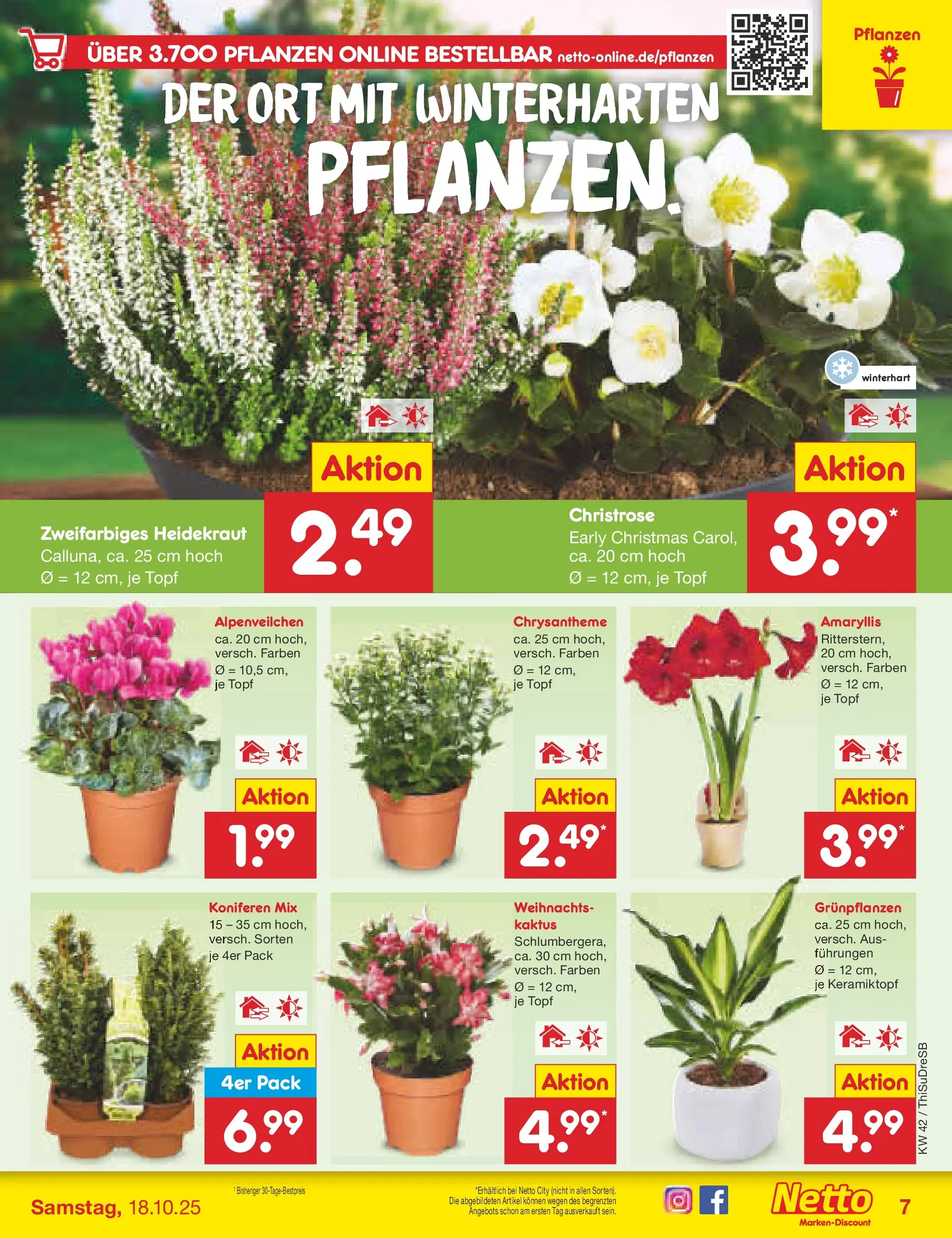 Netto Marken-Discount prospekt Dresden	 (ab 13.10.2025) » Angebote | Seite: 7